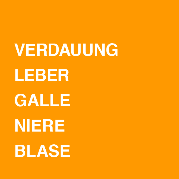 Verdauung / Leber / Galle / Niere / Blase